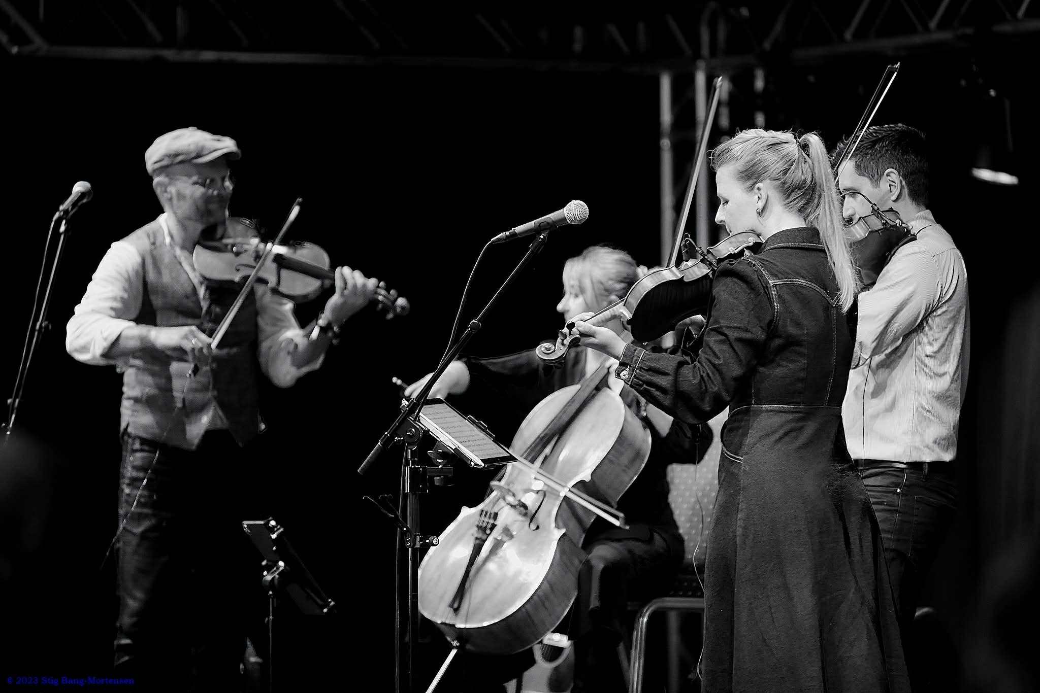 Danish Fiddle Quartet