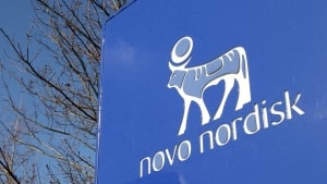 Novo Nordisk firmafest